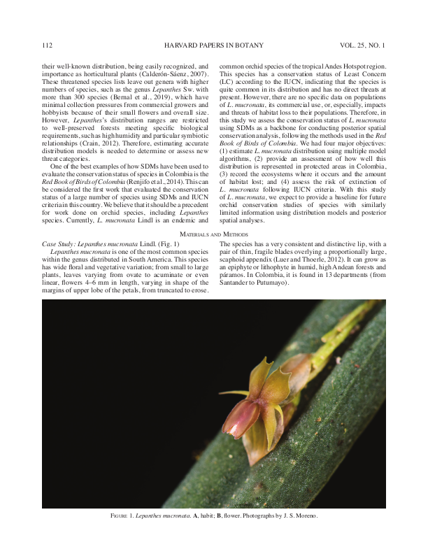 Distribution models for robust assessments of conservation status of orchid species in Colombia
